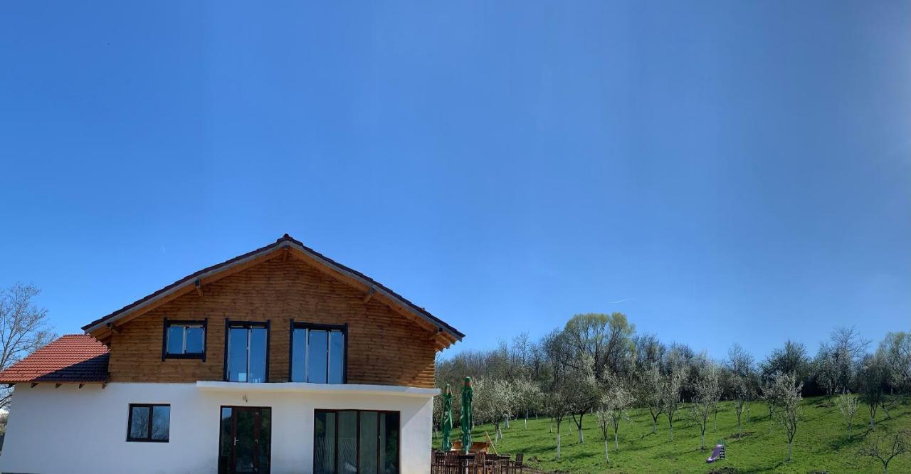 Pensiunea Lili'S House Buchin Zewnętrze zdjęcie